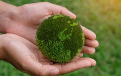 The Imperative of Environmental Sustainability in Higher Education